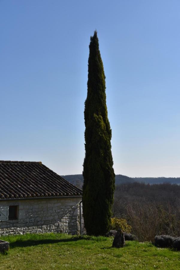 Les Collines Du Quercy Blanc Villa Castelnau-Montratier Luaran gambar